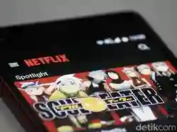 Solusi atas Penetapan Pajak untuk Netflix